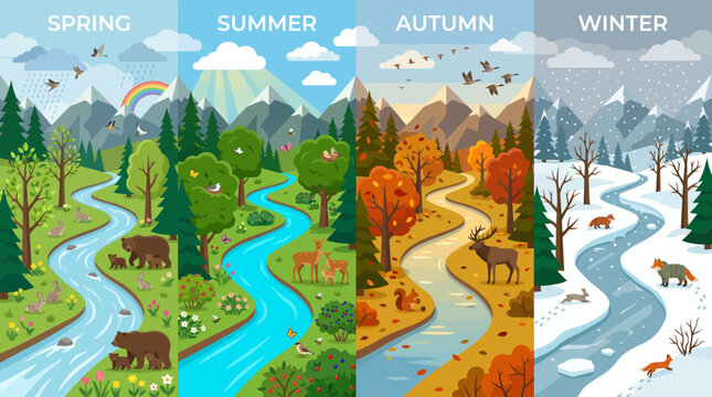Four Seasons Landscape Depicting Nature's Cycle Through Spring, Summer, Autumn, and Winter with Flora and Fauna