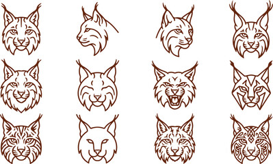 Collection of lynx cat face expressions side profile and front view detailed artistic illustrations. © Sadhin