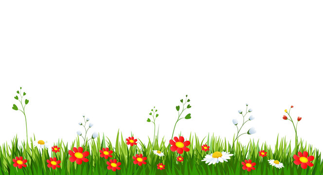 Spring meadow illustration with colorful red and white flowers growing in green grass on white background.