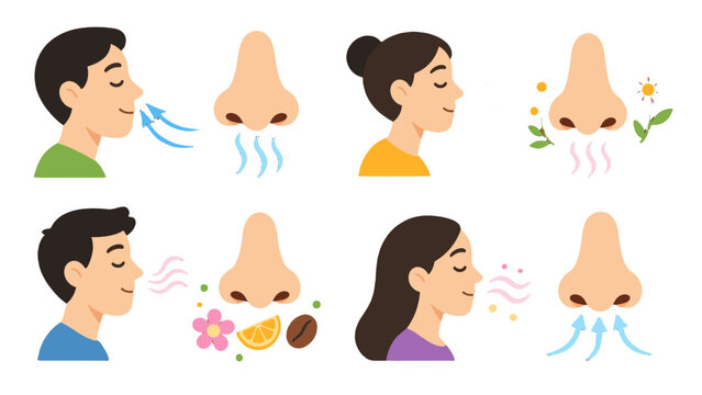 Human smelling and breathing with nose icons vector set