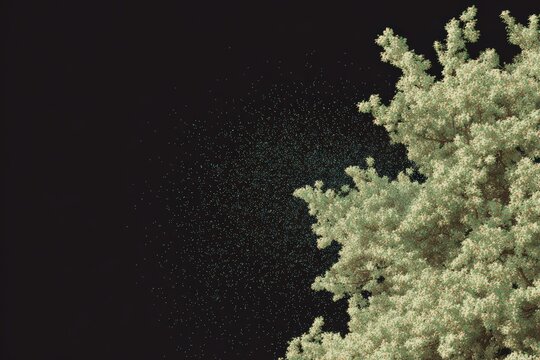 Pollen from blooming trees in spring causing allergies in many people during this time of year with various allergic reactions and symptoms arising from exposure