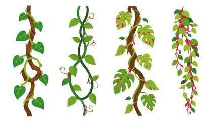 Set of hanging tropical vines and leafy jungle creepers © Andrei