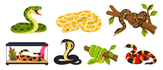 Obraz premium Cartoon snake collection with cobra, python and tree branch reptiles