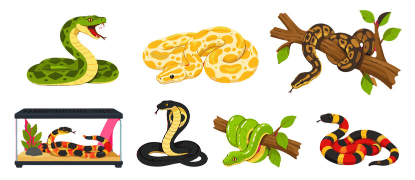 Cartoon snake collection with cobra, python and tree branch reptiles