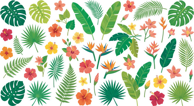 Tropical leaves and flowers illustration