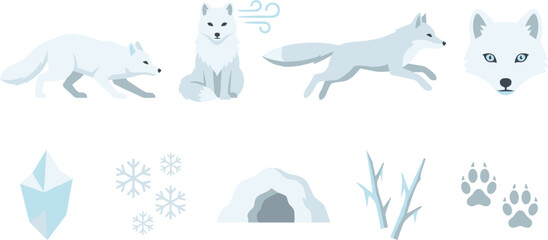Arctic Fox Vector Illustration Set Featuring Flat Design White Wild Animals with Iceberg Snowflakes Ice Den and Paw Prints for Winter Graphic Design © MinnatunAkter