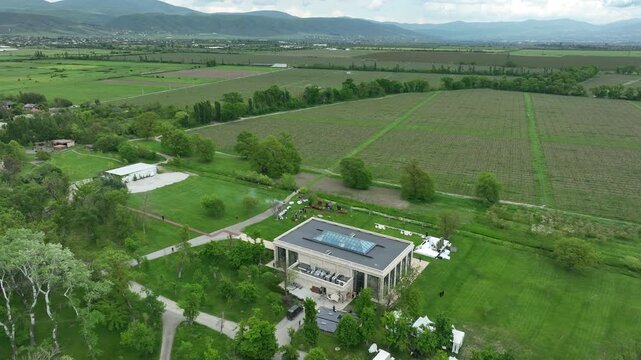 Wide aerial view of Chateau Mukhrani vineyard and estate in Georgia, geometric rows of green grapevines stretching toward the royal palace and village countryside under sunny sky.