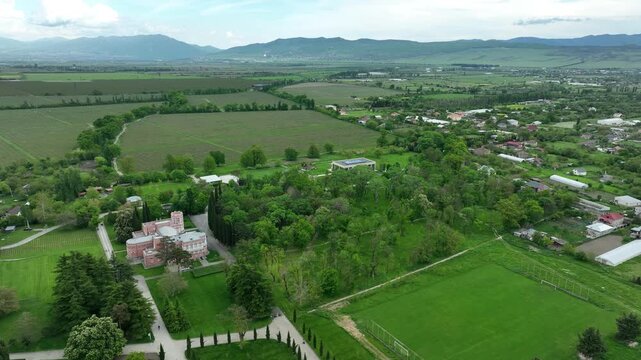 Wide aerial view of Chateau Mukhrani vineyard and estate in Georgia, geometric rows of green grapevines stretching toward the royal palace and village countryside under sunny sky.