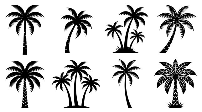 A serene tropical landscape featuring various palm trees standing tall in a sunny outdoor environment with lush vegetation.