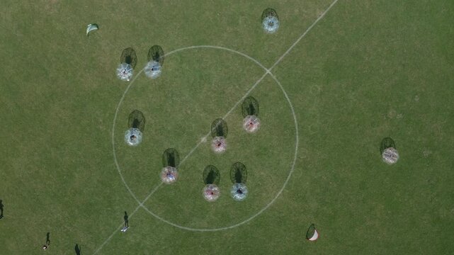 Straight-down aerial drone shot of multiple inflatable zorb bubble soccer balls arranged on green grass field with players inside. Perfect for sport, fun, event, and team activity content