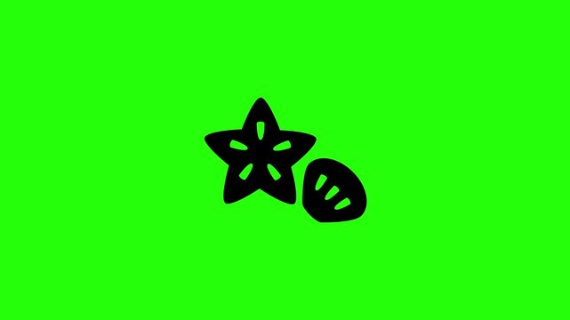 Clean 4K horizontal video showing a tropical marine animal starfish silhouette lying beside a tiny beach sea shell bouncing. High quality popup icon element.