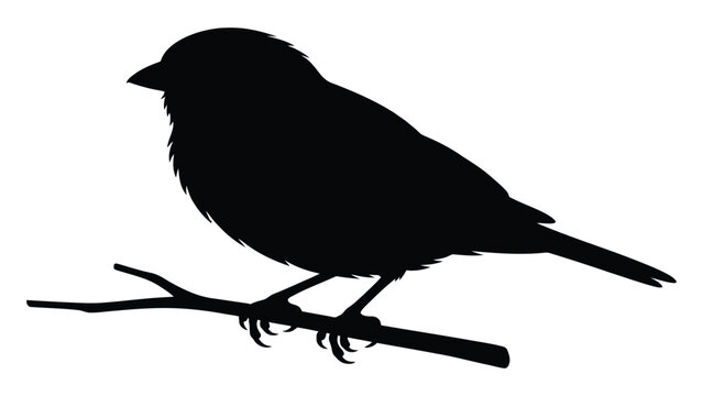 Bird sits on a small twig rendered as a solid black silhouette graphic.