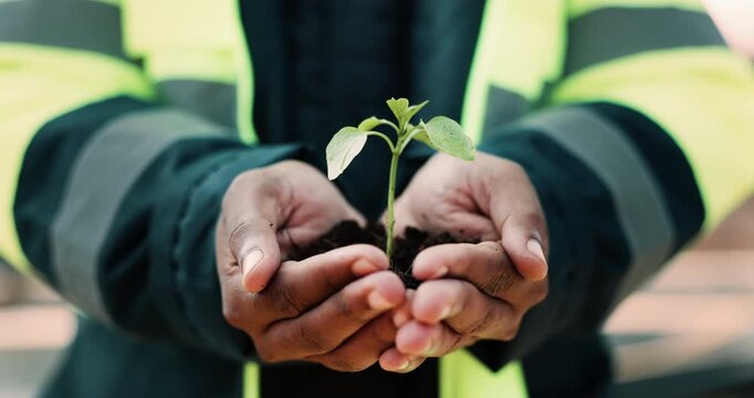 Eco friendly, plant and hands of construction worker on site for sustainability, sprout or agro. Agriculture, man and civil engineer with green leaf in soil for spring, botany or hope outdoor.