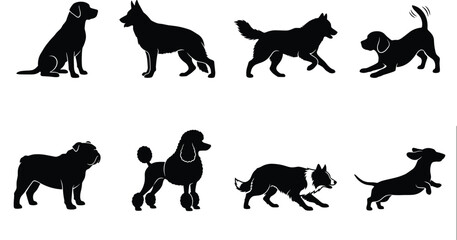 Fototapeta premium Set of dog breed silhouettes including retriever shepherd husky beagle bulldog poodle border collie and dachshund isolated on white background