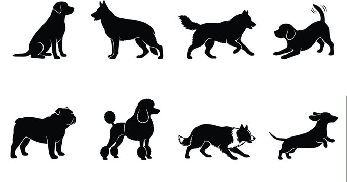 Set of dog breed silhouettes including retriever shepherd husky beagle bulldog poodle border collie and dachshund isolated on white background