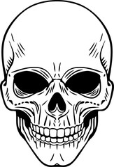 Obraz premium Detailed Line Art Skull Illustration in Monochrome Minimalist Style
