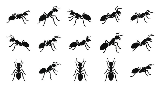 Collection of black silhouettes of ants in various poses and orientations on a white background, showcasing different movements and perspectives