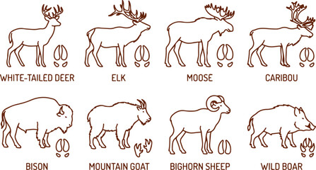 North American wildlife animals with footprints, line art illustrations on transparent background. © Sadhin