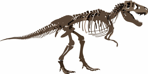 tyrannosaurus rex skeleton vector dinosaur prehistoric fossil © bashanti