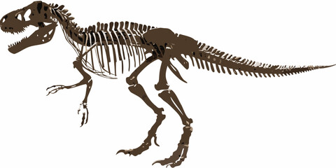 tyrannosaurus rex skeleton silhouette dinosaur prehistoric fossil © bashanti