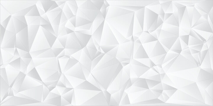 White Low Poly Geometric Surface with Subtle Faceted Texture abstract vector