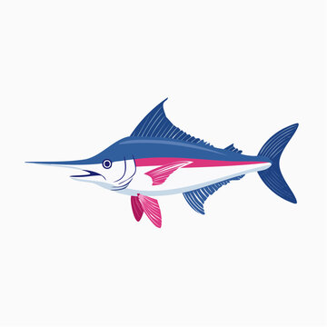 Illustration of a Blue Marlin fish