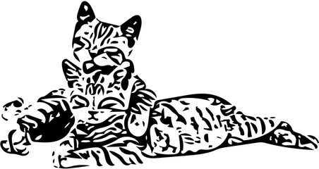 Fototapeta premium Internasional cat day 