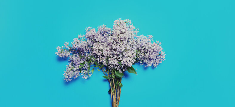 bouquet of spring flowers on blue background