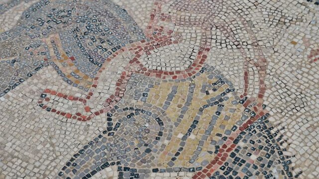 Roman mosaic depicting a man riding a donkey backwards at Volubilis, Morocco