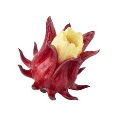 Fototapeta premium Fresh red roselle fruit or Hibiscus sabdariffa isolated on white background.