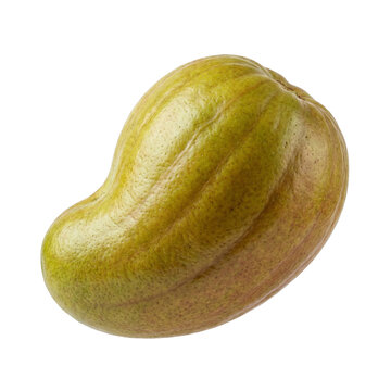 Single dried Haritaki fruit Terminalia chebula isolated on white background.