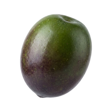 Single ripe Java plum fruit isolated on a white background.