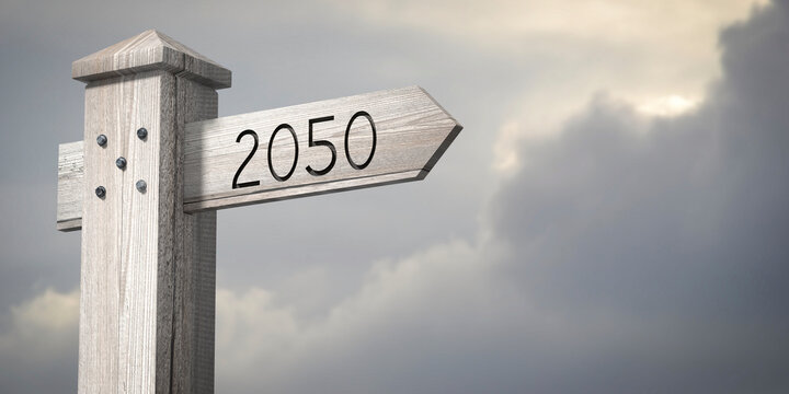 2050 - wooden signpost with one arrow