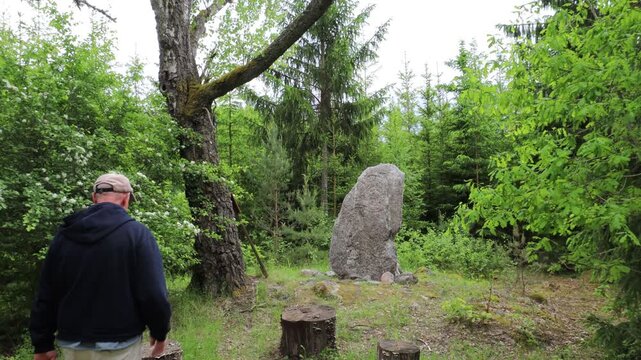 Arno, Sweden A man walks up to an 11th-century rune stone, Rune-stone U691, in the forest on the island of Arno in Lake Malaren. 