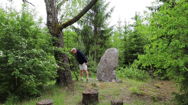 Arno, Sweden A man walks up to an 11th-century rune stone, Rune-stone U691, in the forest on the island of Arno in Lake Malaren. 