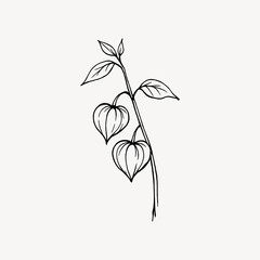 Obraz premium Minimalist botanical line art drawing.