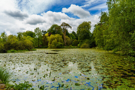 The Lake at Altamont Gardens, Co. Carlow, Ireland