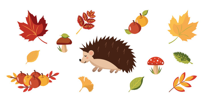 Autumn elements hedgehog and fall leaves vector illustration set. Minimalist flat design of forest animal, maple leaf, mushrooms, apples and rowan foliage for thanksgiving day banners