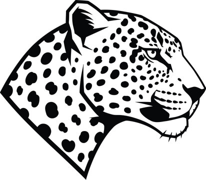 Leopard head captured in a minimalist black and white vector style represents feline power.