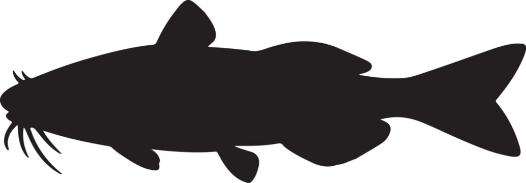 black and white shark vector