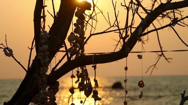Tropical Beach Sunset through a Tree with Sea Shell Decorations