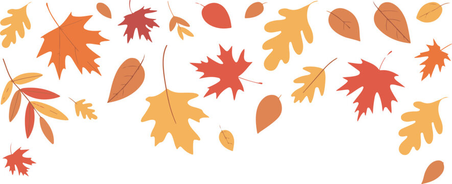 Autumn leaves vector pattern background with falling orange yellow and red maple oak leaf design elements