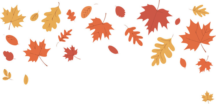 Autumn leaves vector pattern background with falling orange yellow and red maple oak leaf design elements
