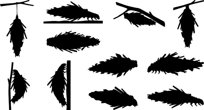 Bagworm moth cocoon silhouette collection featuring protective silk casings hanging from branches in natural settings