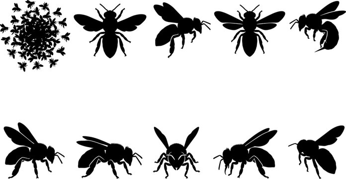 Bee swarm and individual insect silhouette bundle showing a large group of bees and single pollinators