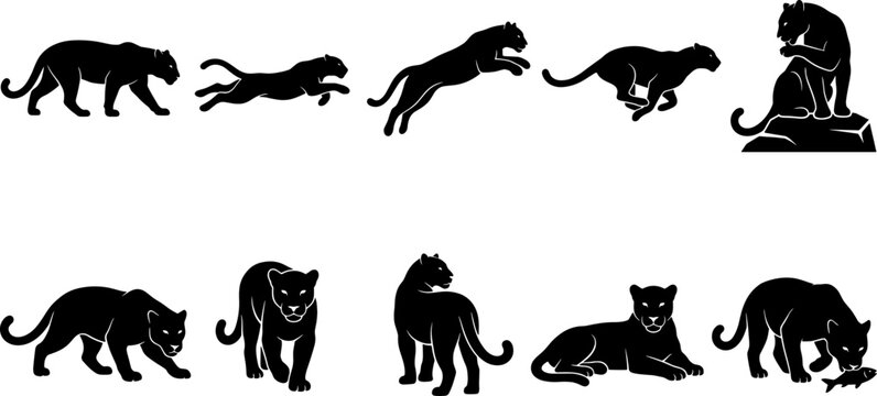 Black panther leopard silhouette pack showing predatory cats prowling jumping and eating for nature design