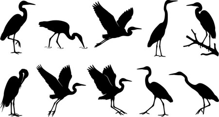 Fototapeta premium Bundle of heron silhouettes perched on branches and flying in a set