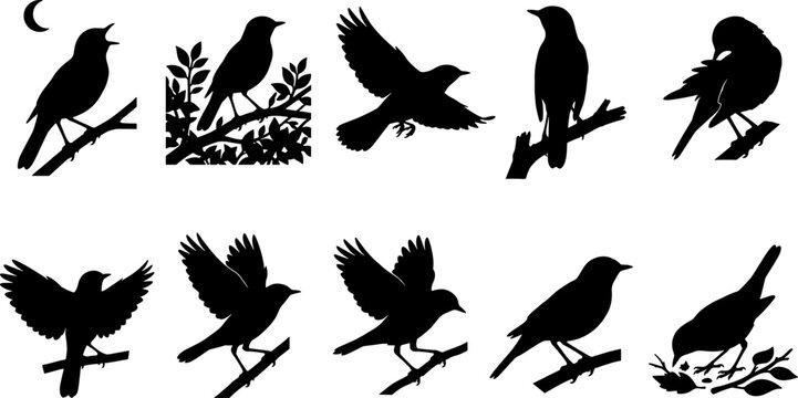 Bundle of nightingale bird silhouettes perching and singing for nocturnal nature collection set