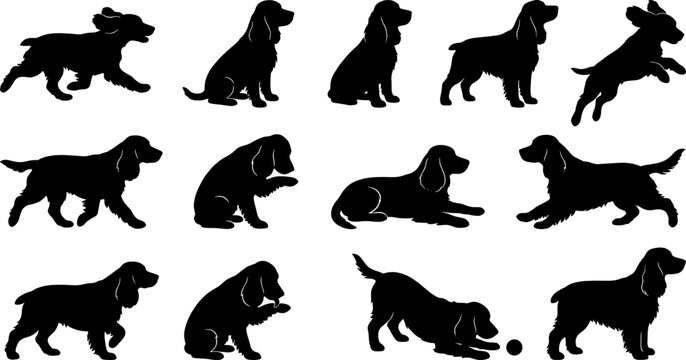 Cocker spaniel dog silhouette bundle featuring active pets running sitting and playing for pet graphics