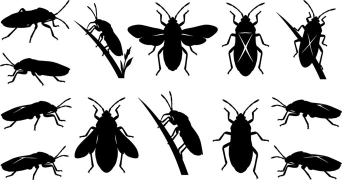 Collection of firebug and red bug silhouettes showing pyrrhocoridae species in diverse poses